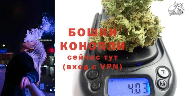 сатива Михайловск