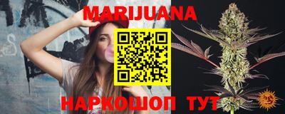 крисы Абакан
