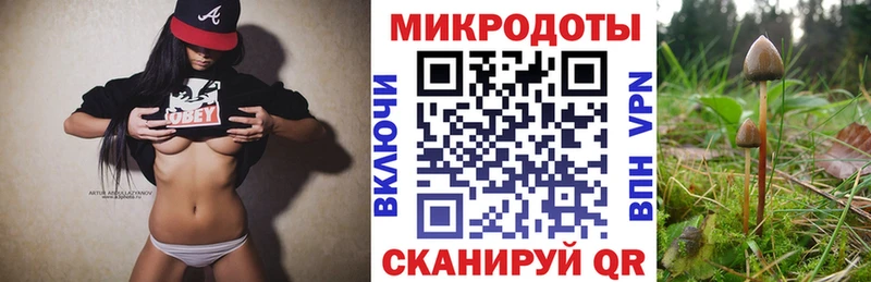 Псилоцибиновые грибы ЛСД  как найти   Новоалтайск 