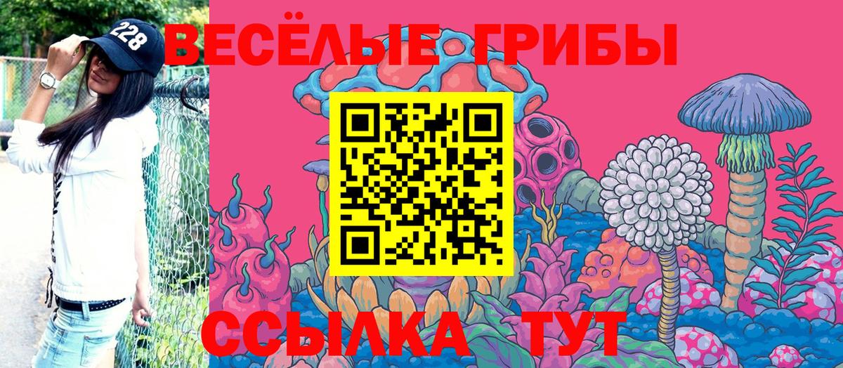 Псилоцибиновые грибы Magic Shrooms Новоалтайск