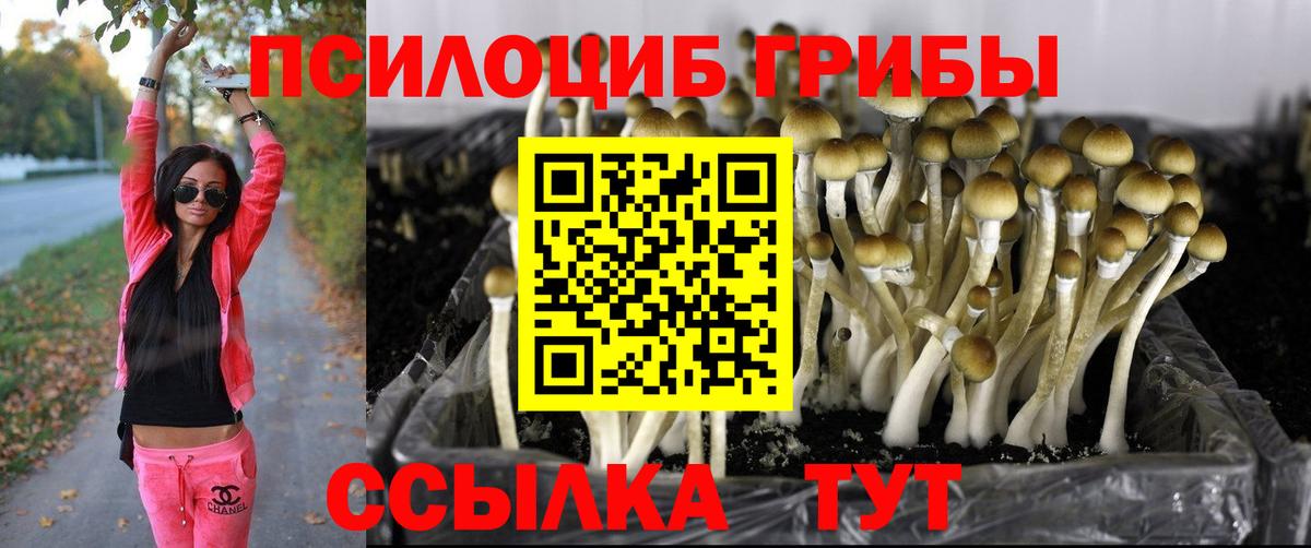 Псилоцибиновые грибы мухоморы  Вход с VPN  Новоалтайск 