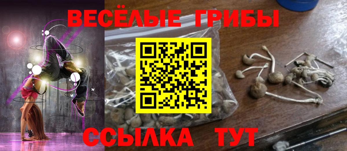 Канабис  ЛЁД  ГАШ  Купить наркотики  Кокаин  МДМА  Альфа ПВП  Вход с VPN  Мяу-Мяу  Cocaine  Новоалтайск  Канабис 