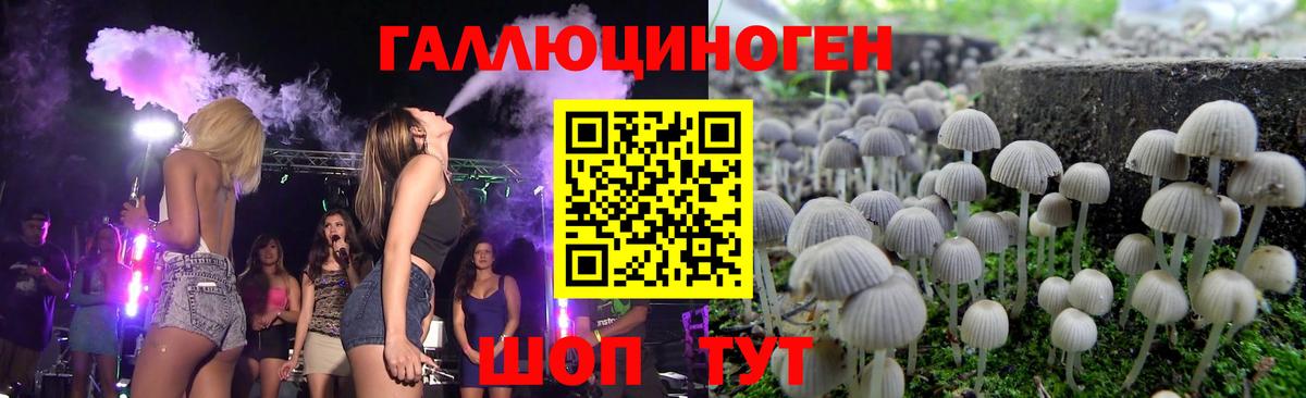 Псилоцибиновые грибы ЛСД  Псилоцибиновые грибы мухоморы  Новоалтайск 